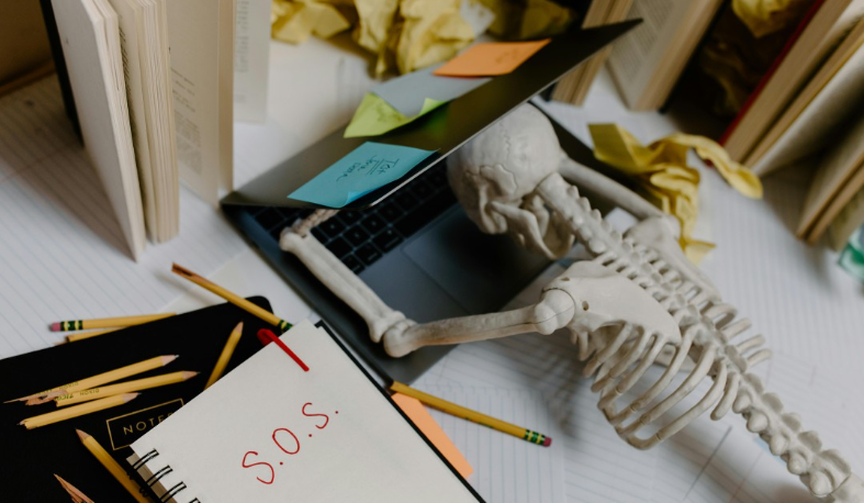 Have you ever tried a personalised wellness journal?